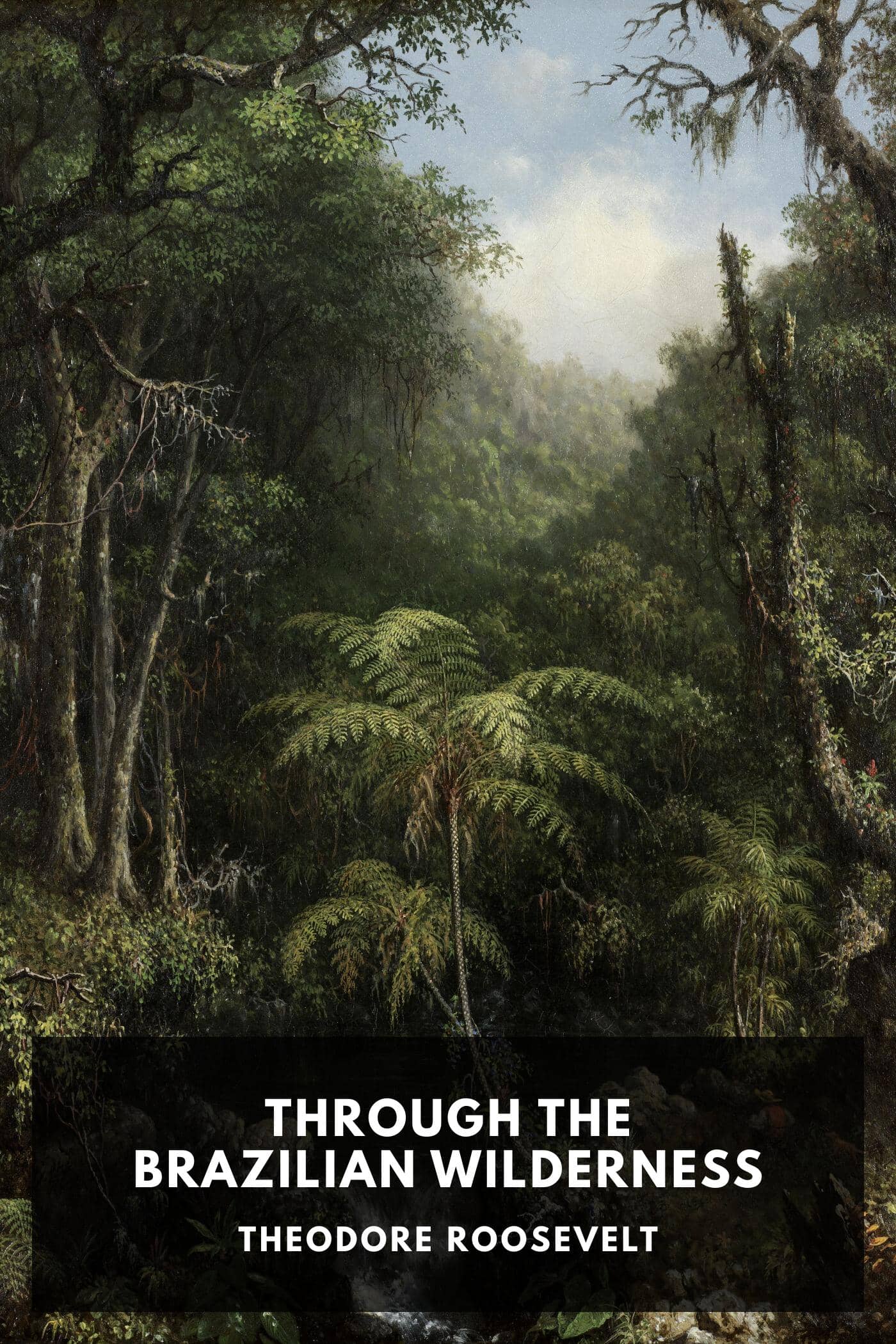 Through the Brazilian Wilderness