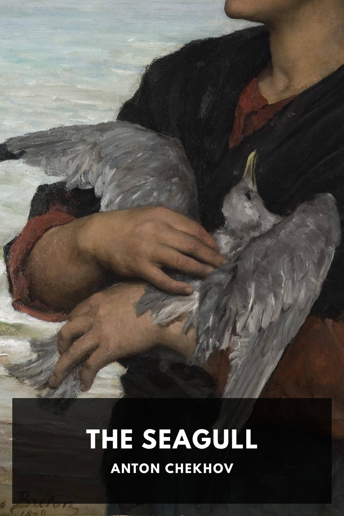 The Seagull