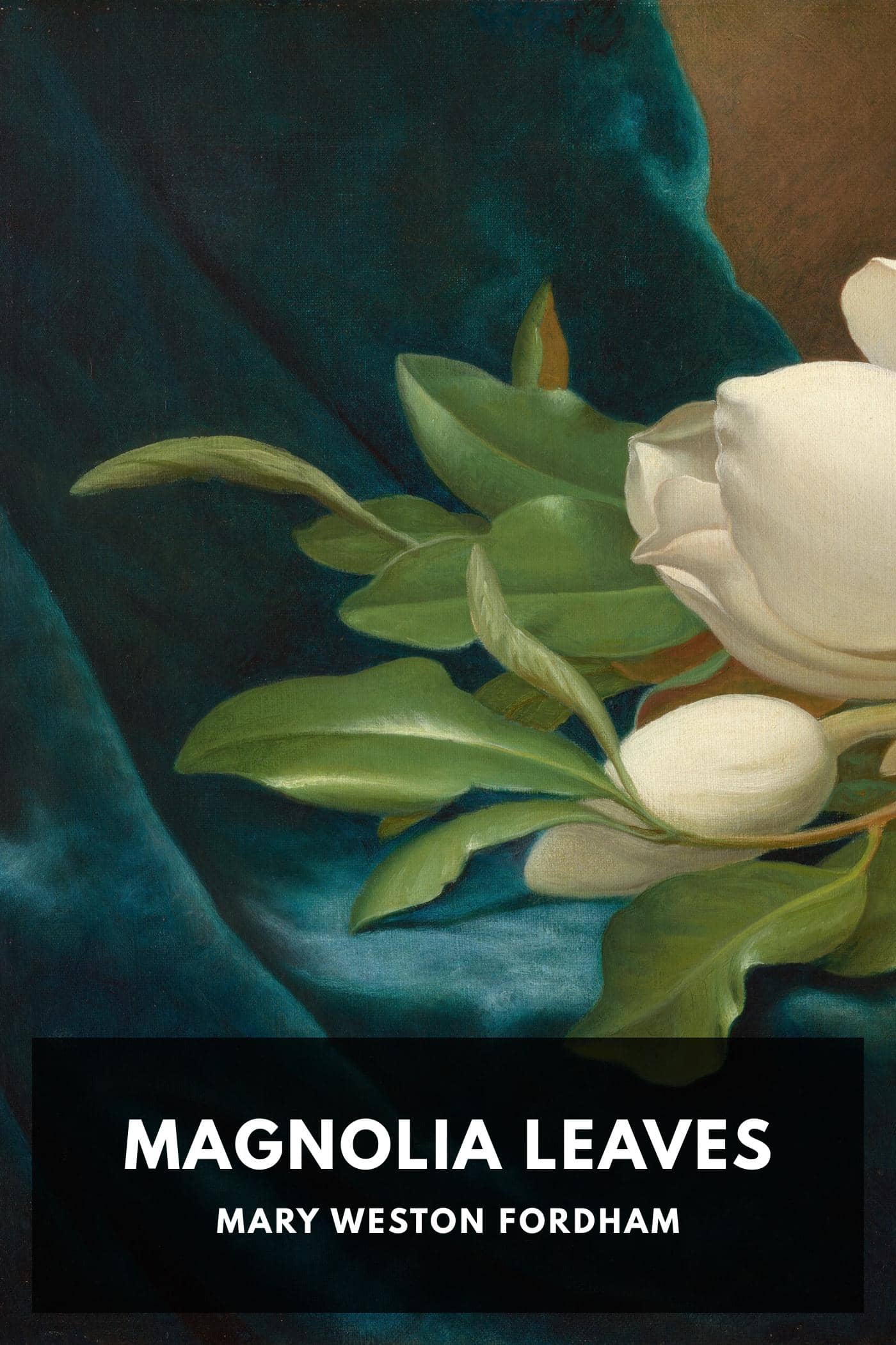 Magnolia Leaves